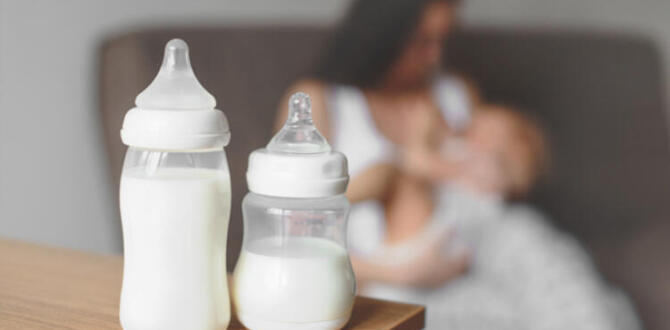 Anne Sütünü Dahada Fazlalaştırmanın Doğal Yolları