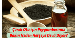 Çörek Otunu Böyle Kullanırsanız Çok Fazla Hastalığa D’evadır..