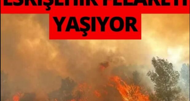 10 İşçimizin yangınlara müdahale ederken nasıl O’ldüğü ortaya çıktı.