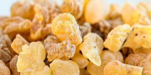 Romatizmadan, öksürüğe, ishalden, dil tutulmasına, mide a’ğrısına, hafızaya