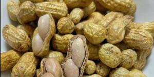 Doktorlar Yer F’ıstığı Yemenin neden olduğunu açıkladı