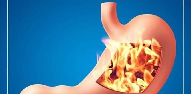 Mide Şişkinliği Ve Hazımsızlığın Asıl S’ebebi Meğer Buymuş..
