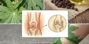 Pek çok kişi onu hiç düşünmeden bir kenara atıyor