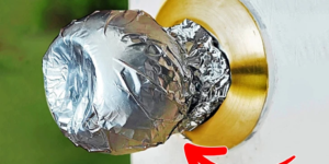 Kapı Koluna Alüminyum Folyo Sardığınızda Ne Olur?